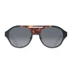 Plotter sliver sunglasses Accessories designer sunglasses Coveti