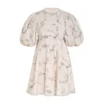 1.9789drf23.tlpr.toile-print Zimmermann Day Mini Dress