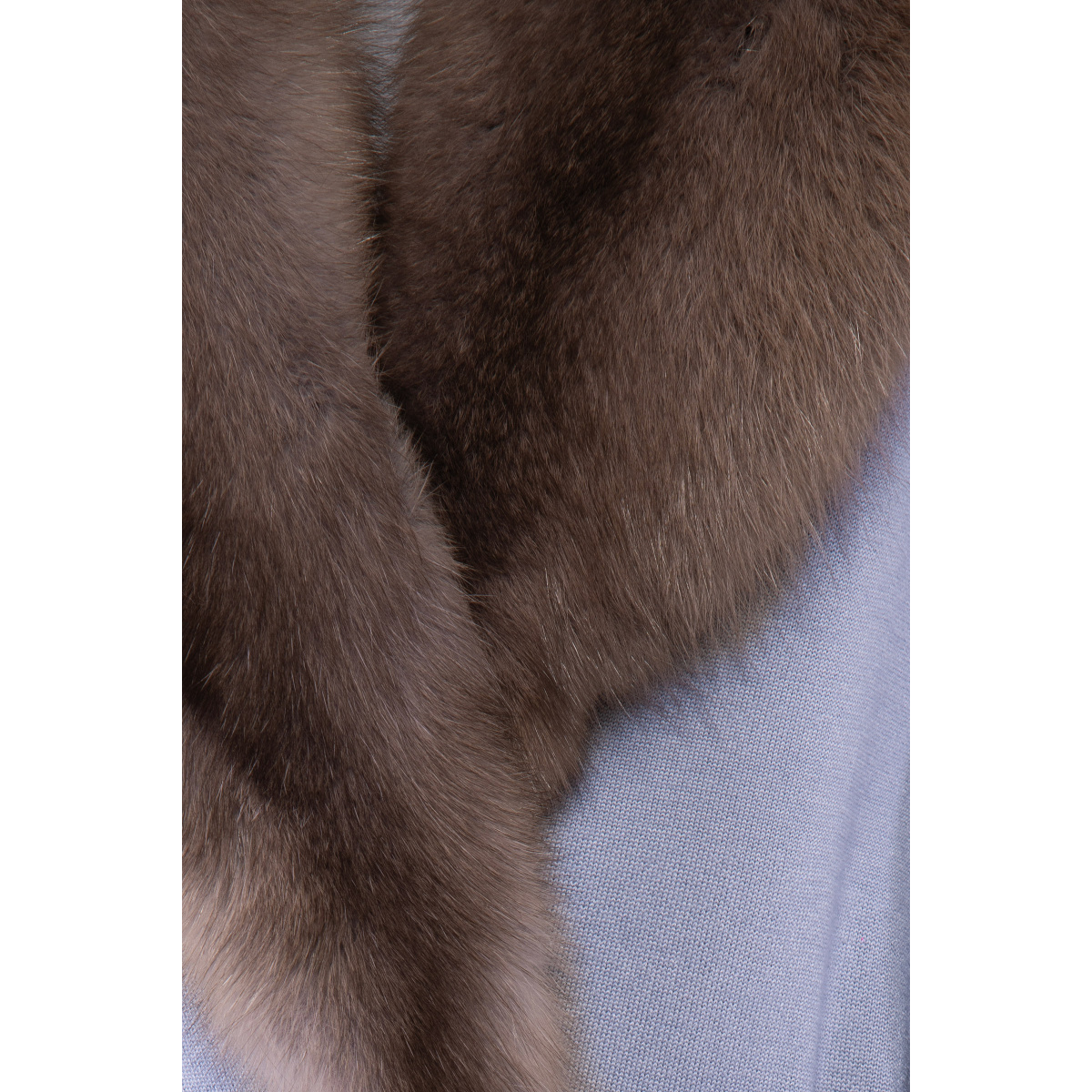 Blue Coats fur Coats