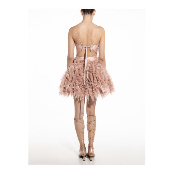 Maria Lucia Hohan Kate Silk Tulle Mini Dress