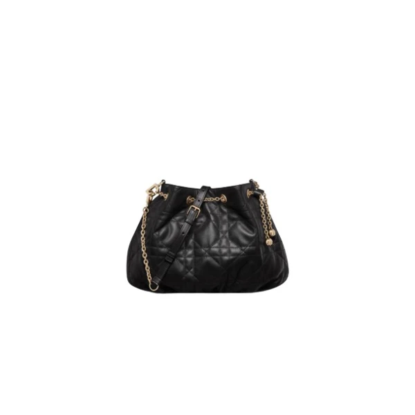 Dior Medium Dior Ammi Bag54762 nobg