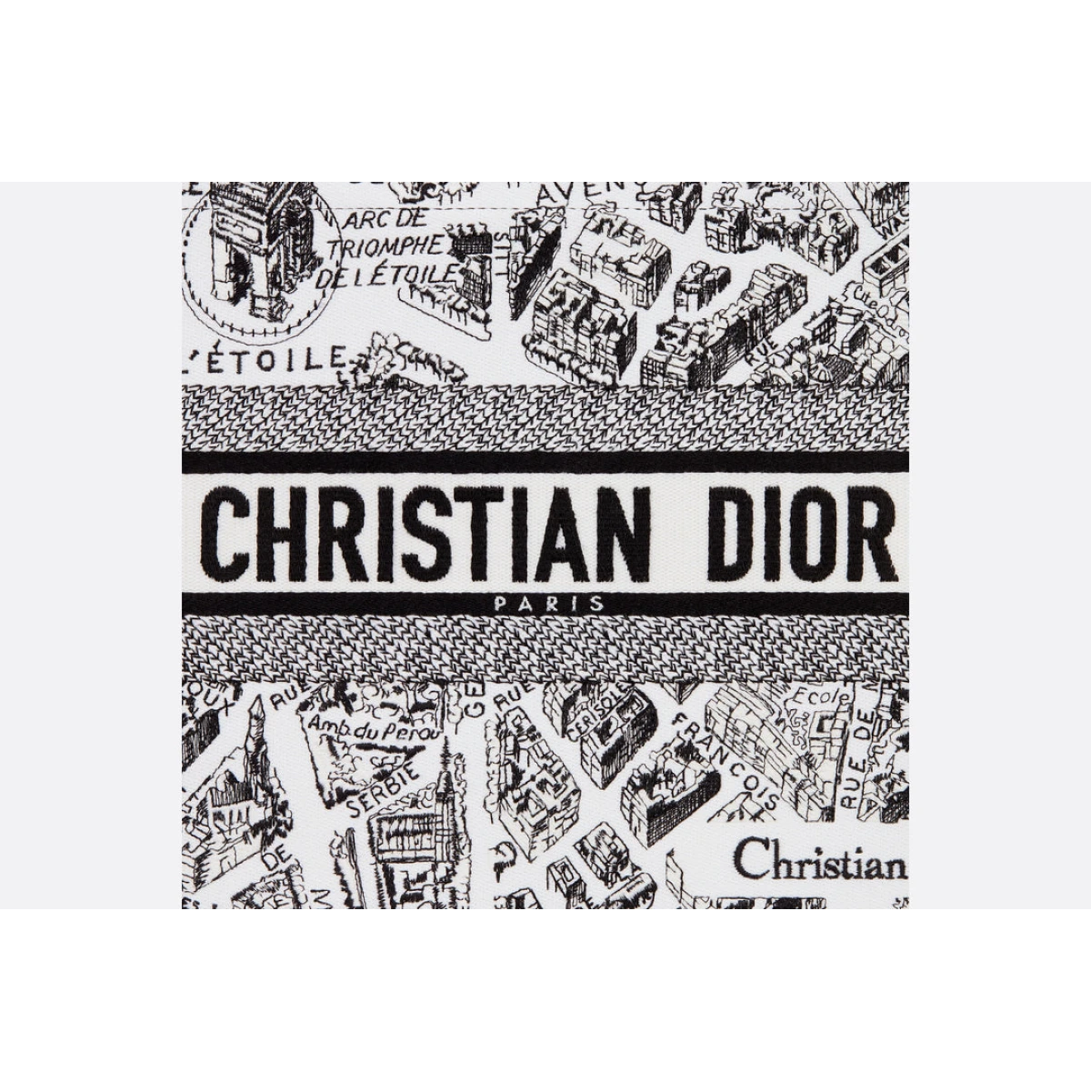 Dior Medium Dior Book Tote