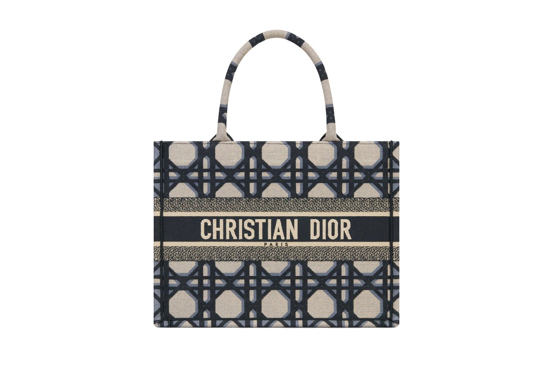 Dior book discount tote bag rihanna