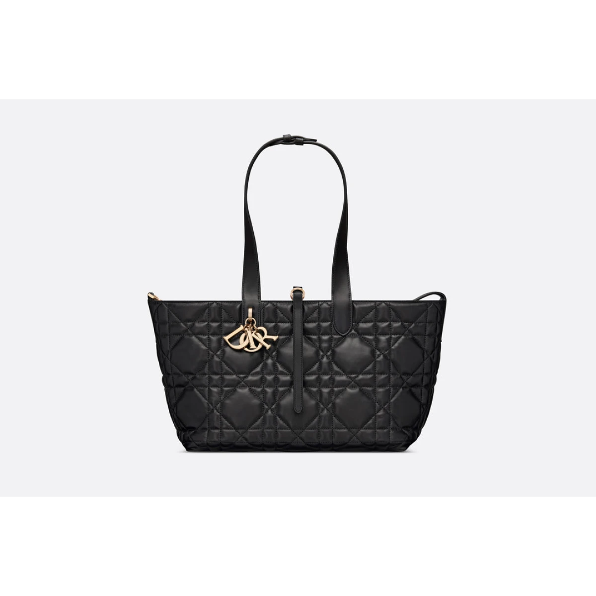 Dior Medium Dior Toujours Bag