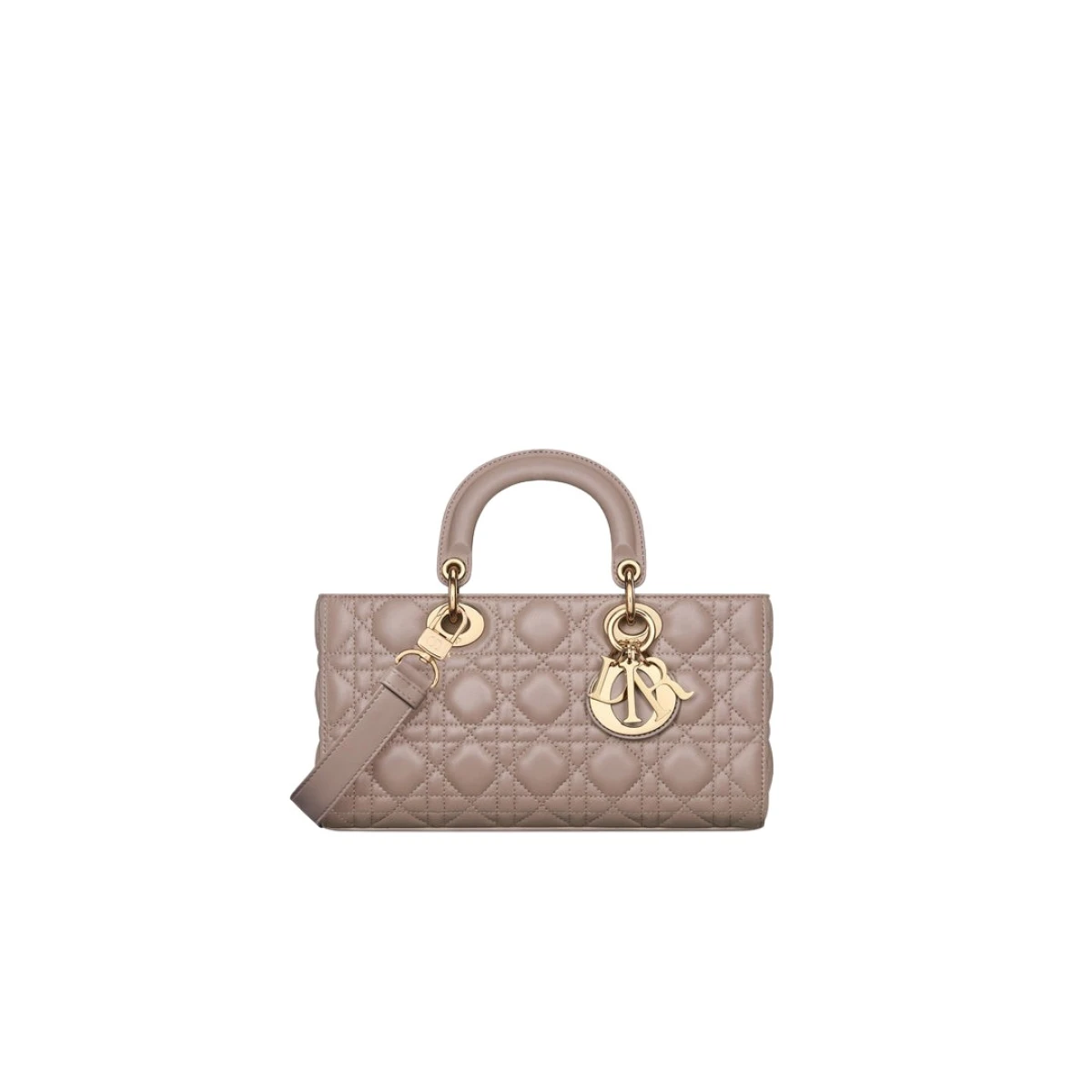 Dior Medium Lady D Joy Bag29636 nobg