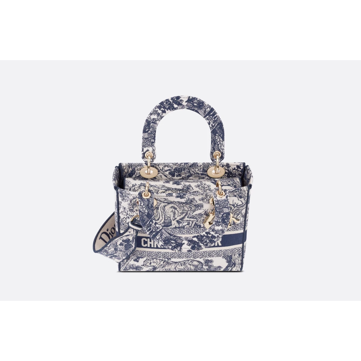 Dior Medium Lady D-Lite Bag