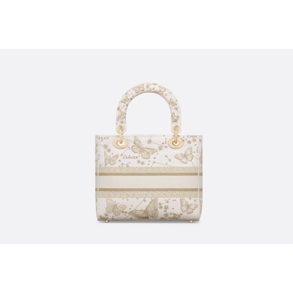 Dior Medium Lady D-Lite Bag