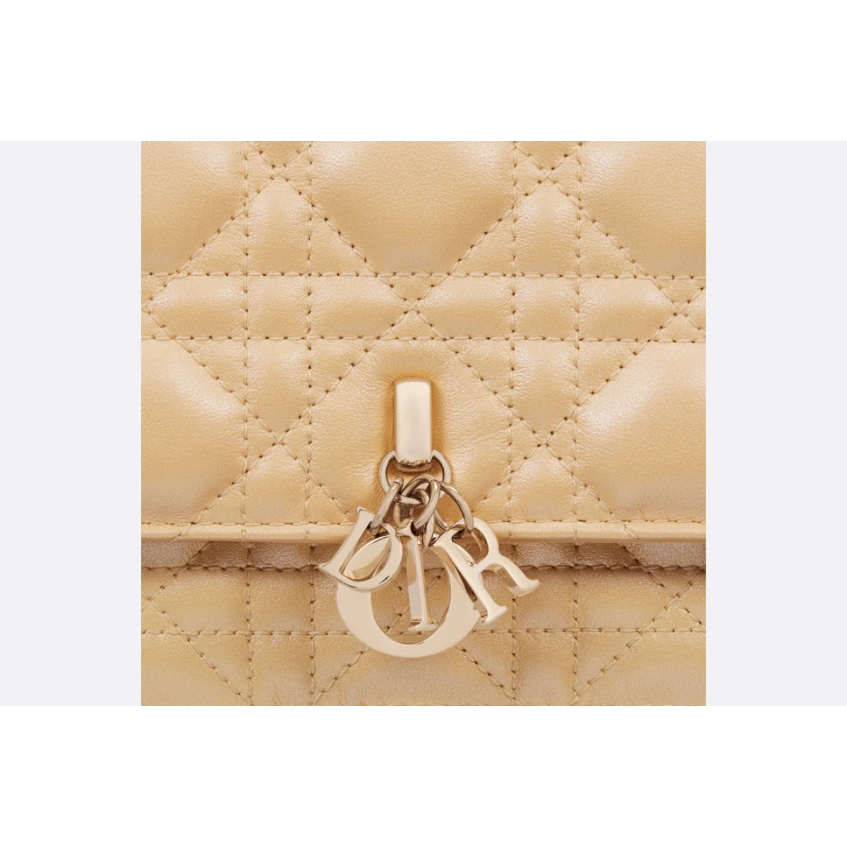 Dior Mini Bags