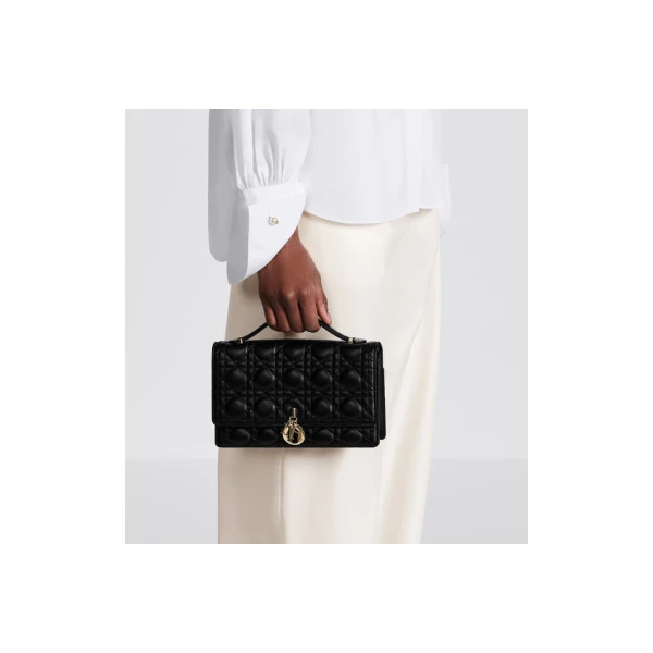Dior Miss Dior Top Handle Bag
