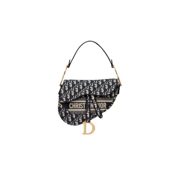 Dior Saddle Bag 694948 nobg
