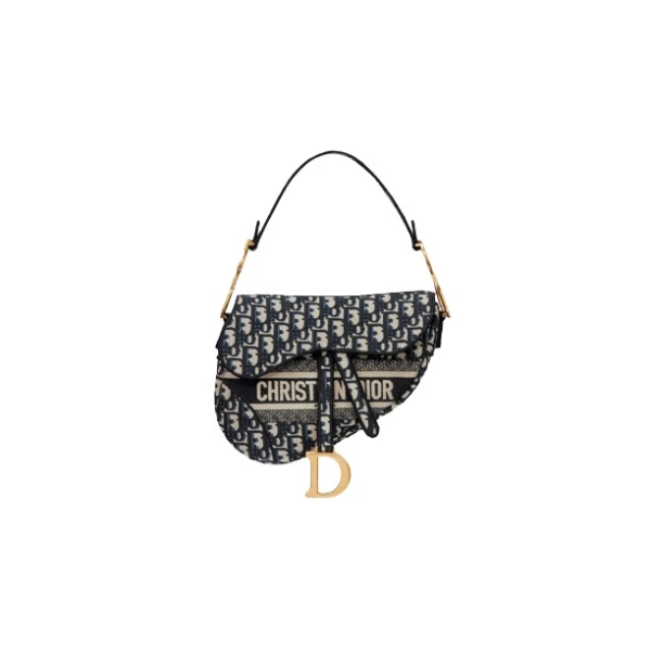 Dior Saddle Bag 694948 nobg