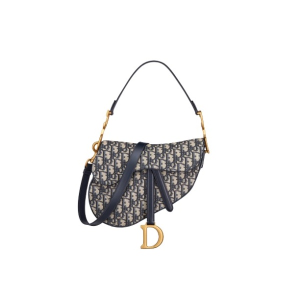 Dior Saddle Bag With Strap 667863 nobg