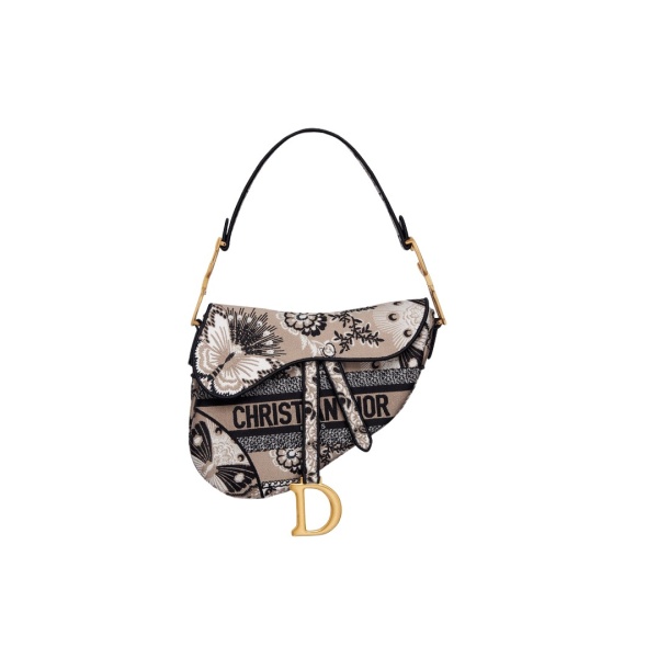 Dior Saddle Bag87555 nobg