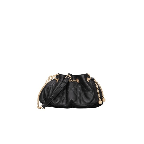 Dior Small Dior Ammi Bag 555645 nobg