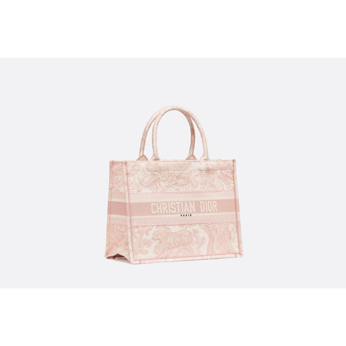 Small dior tote discount bag