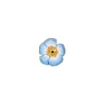 Schiaparelli Blooming Pansy Eye Brooch57651 nobg