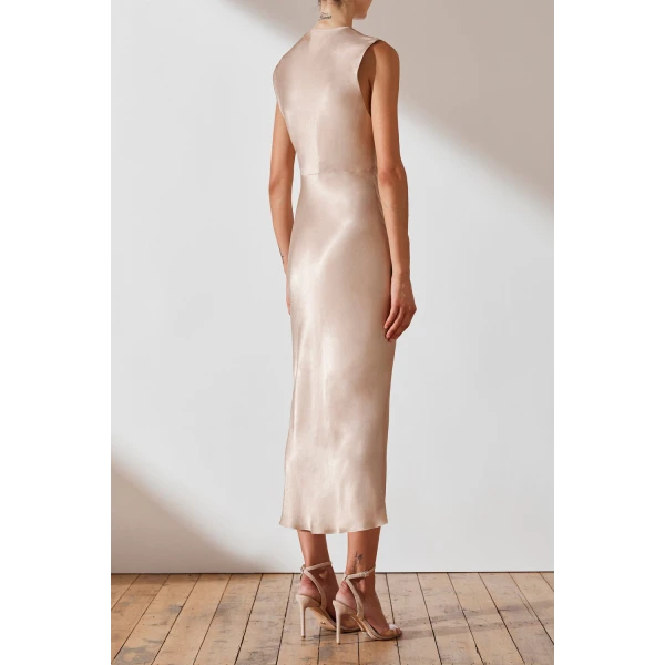 Shona Joy dress