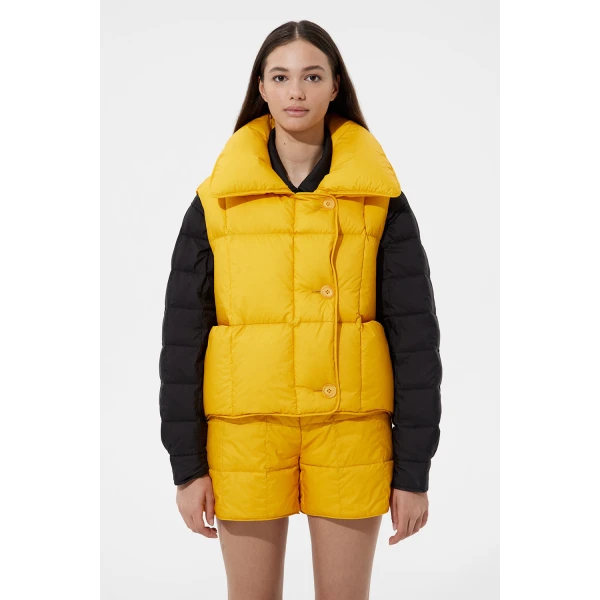 ski vest