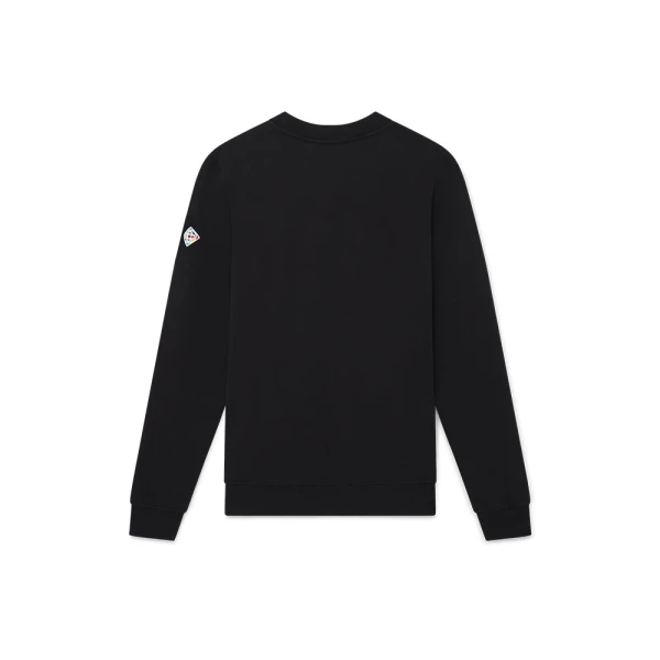 mens sweatshirt