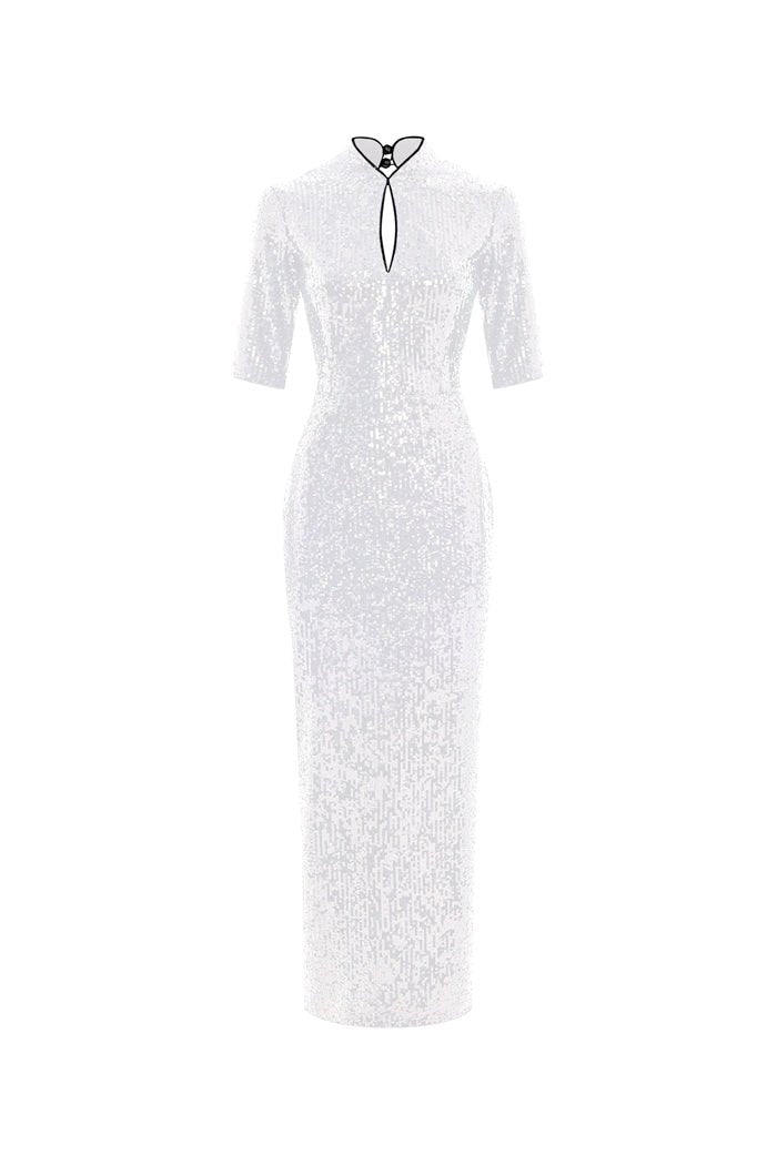 Rasario Sequinned Long Midi Dress With An Opened Back And Cutout
