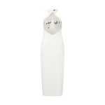 David Koma Plexi & Crystal Wing Embroidery Midi Dress