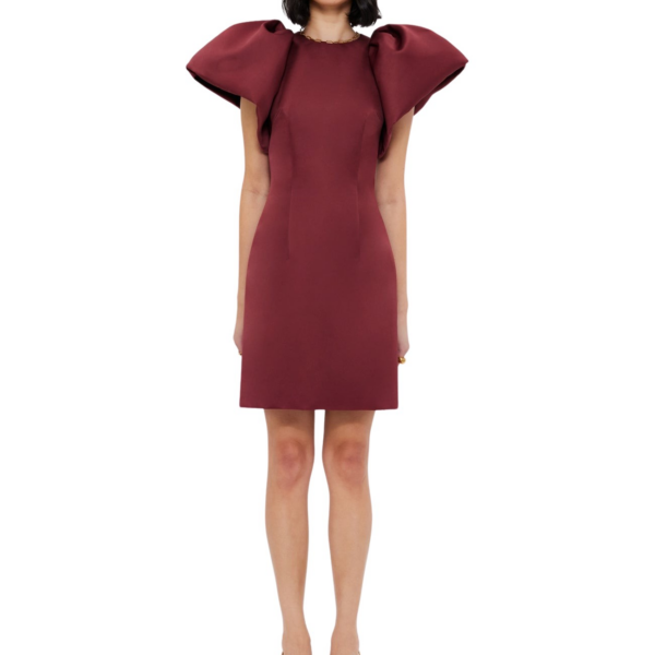 Leo Lin Dayna Mini Dress – Burgundy