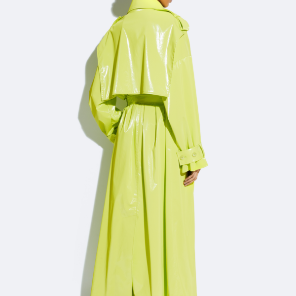 Lapointe dress