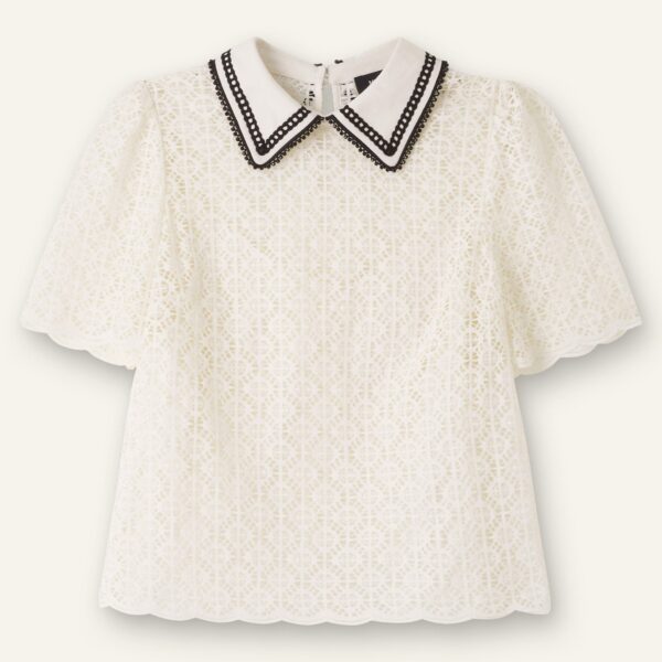 Evening Lace Short Sleeve Top + Cami - Image 6