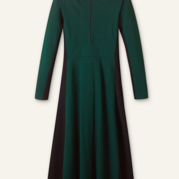 Travel Tailoring Color Block Maxi Dress - Image 6