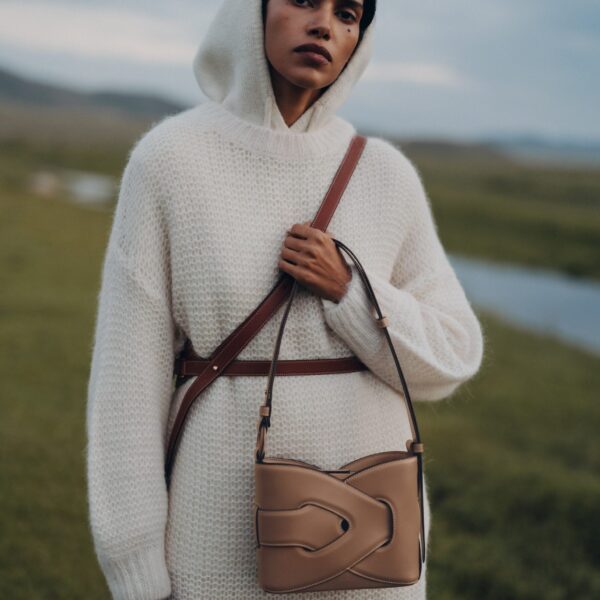 Polene bag
