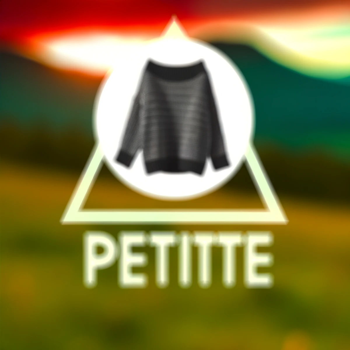 what is petite clothing