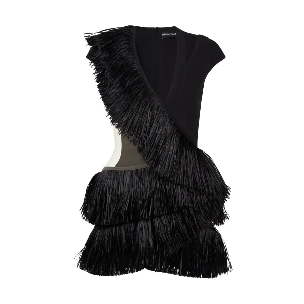 David Koma Raffia Fringe And Tulle Cutout Mini Dress