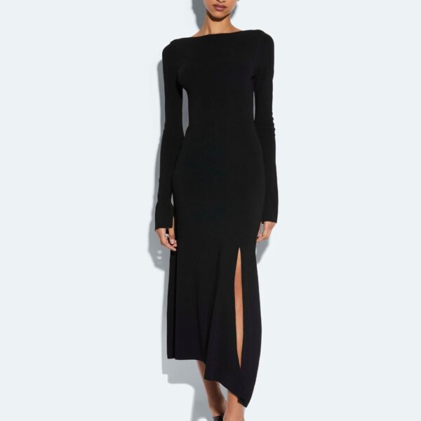 Lapointe dress