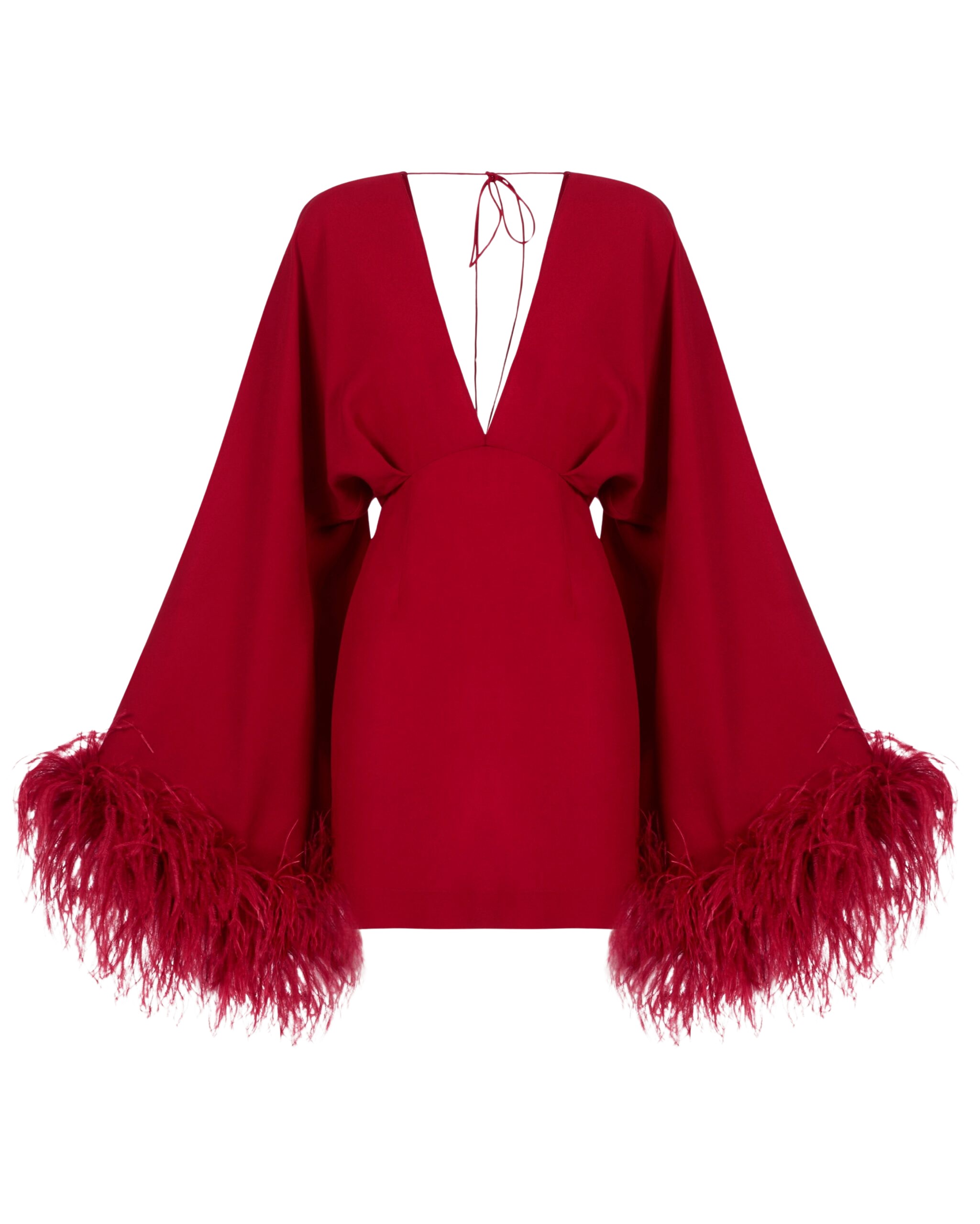 Red Feather Dress | Coveti