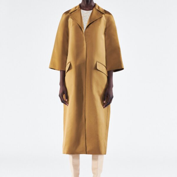Adam Lippes dresses