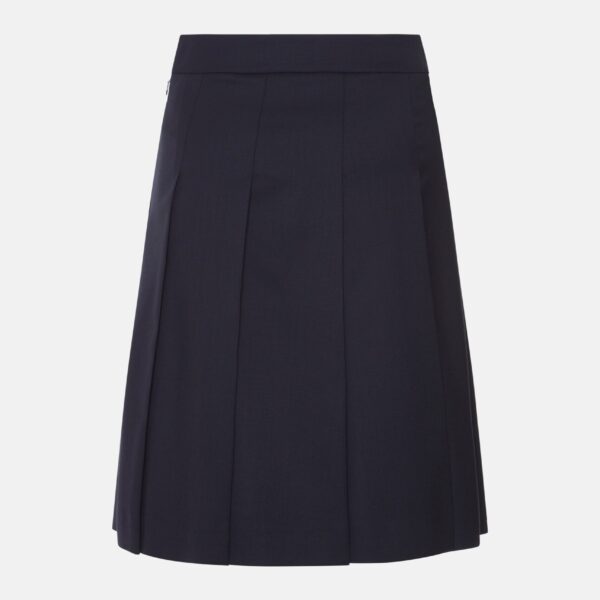 Pleated Skirt