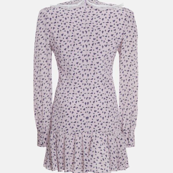Small Rose Print Mini Dress