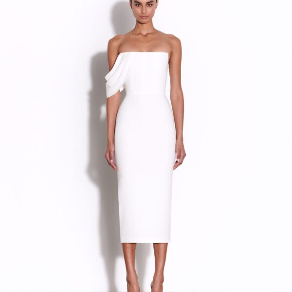 Alex Perry dress
