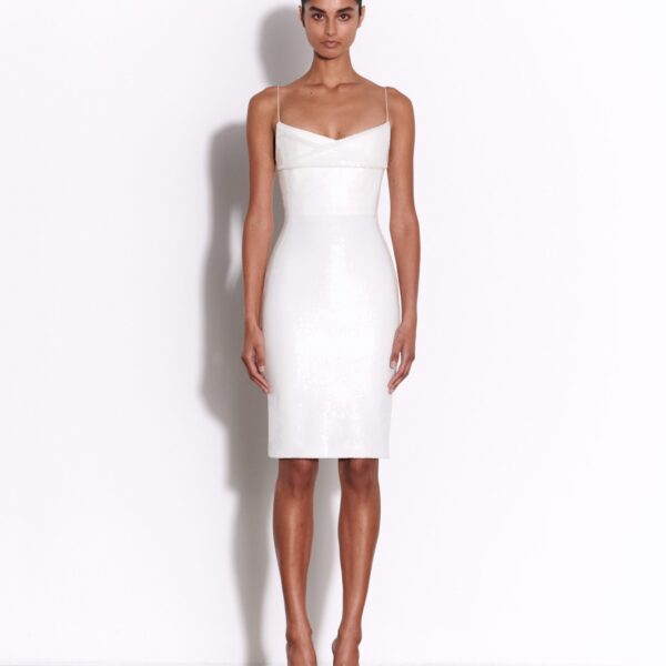 Alex Perry dress