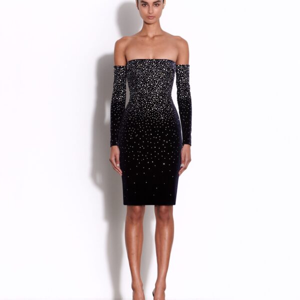 Alex Perry dress