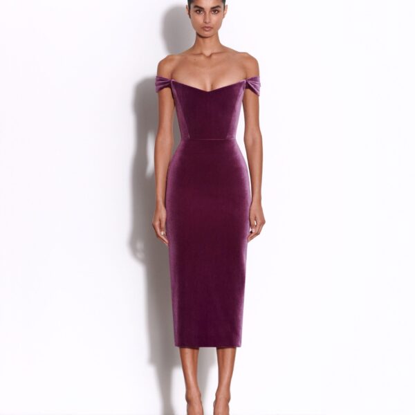Alex Perry dress