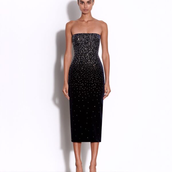 Alex Perry dress