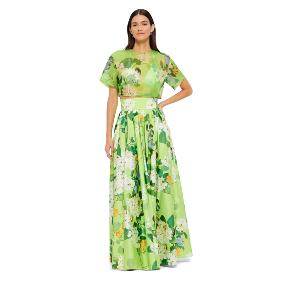 leo lin maxi dress