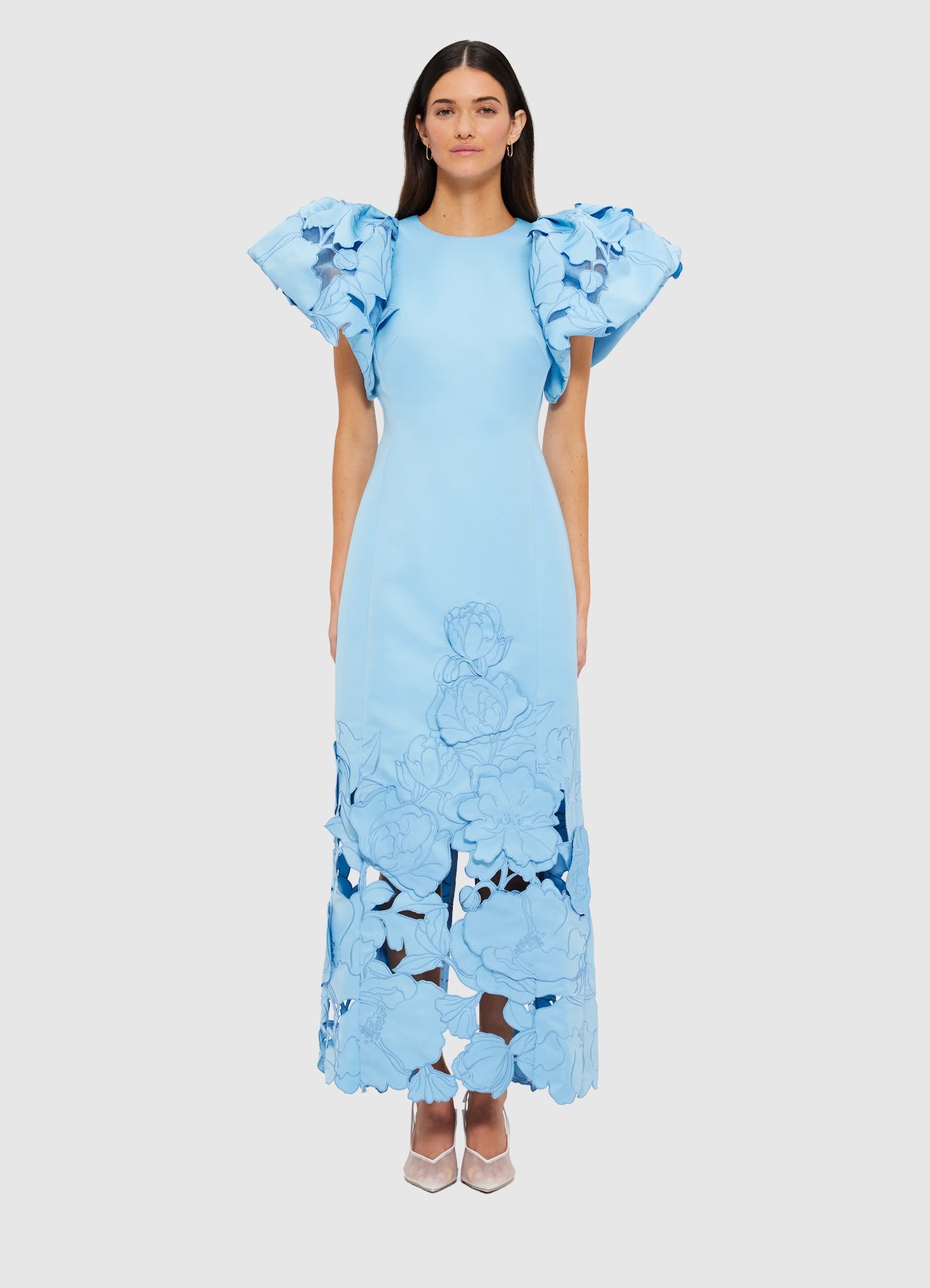 【Leo Lin】Lucinda Applique Maxi Dress LEO LIN Lucinda Puff-Sleeve Appliqué Maxi Dress | Anthropologie