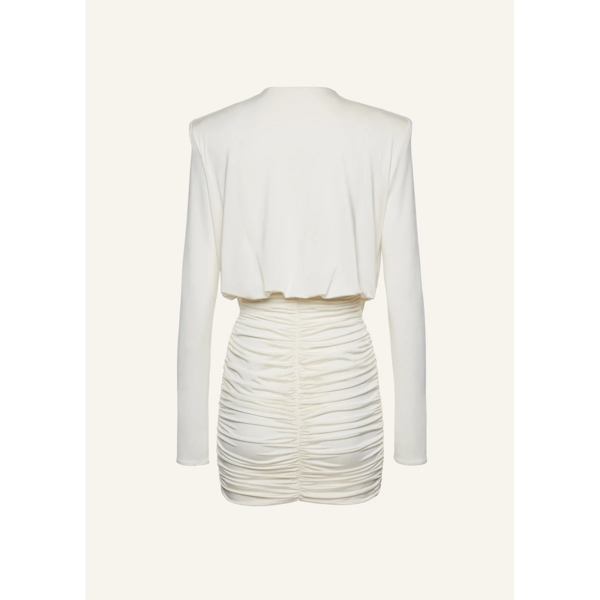 Magda Butrym dress