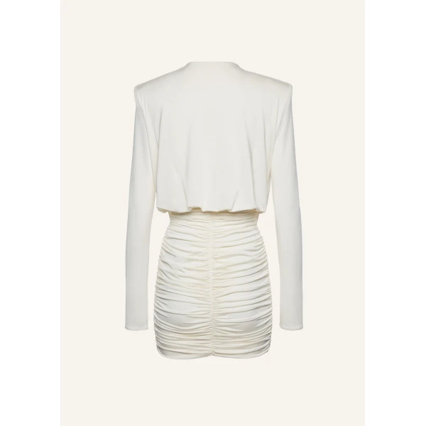 Magda Butrym dress