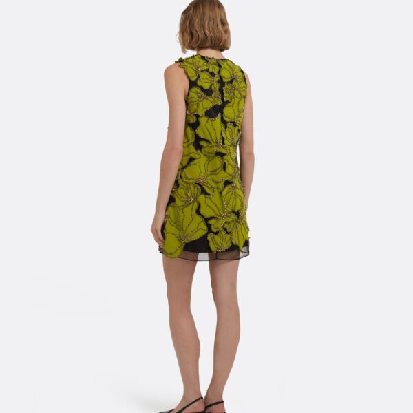 safiyaa dresses
