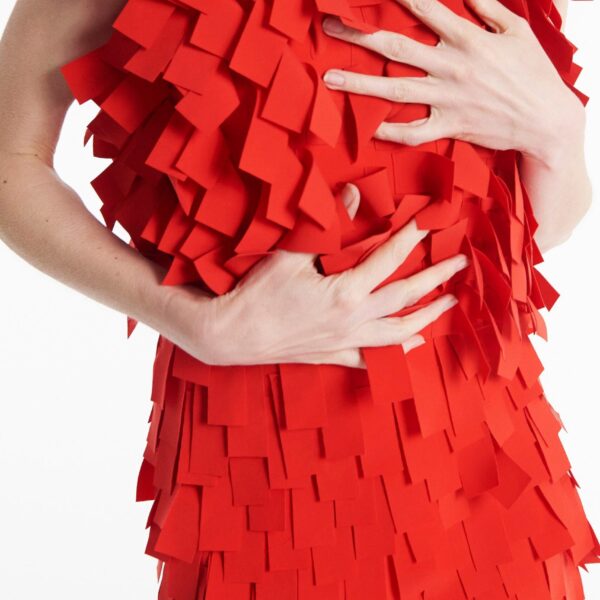 awake mode skirt