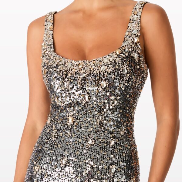 Jenny Packham  Silver gown