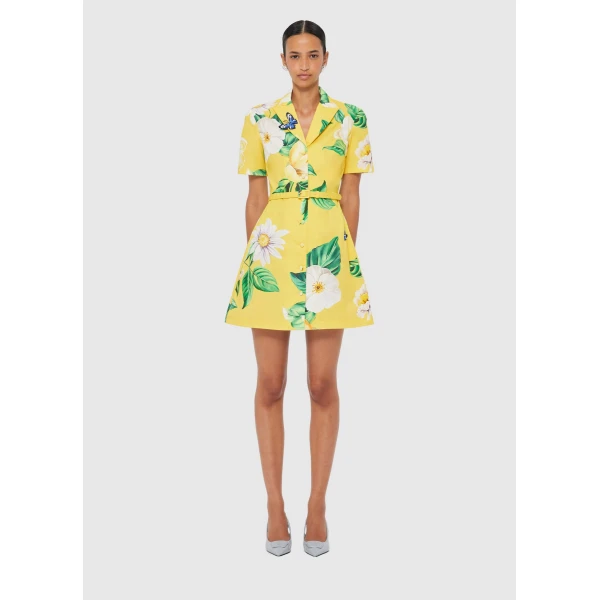 Leo Lin Brigitte Mini Dress – Joie Print in Sunshine, view 2